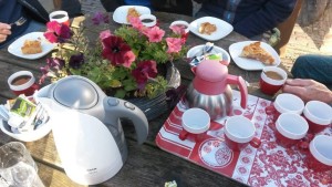 4e Appelpersdag 2015 (3)