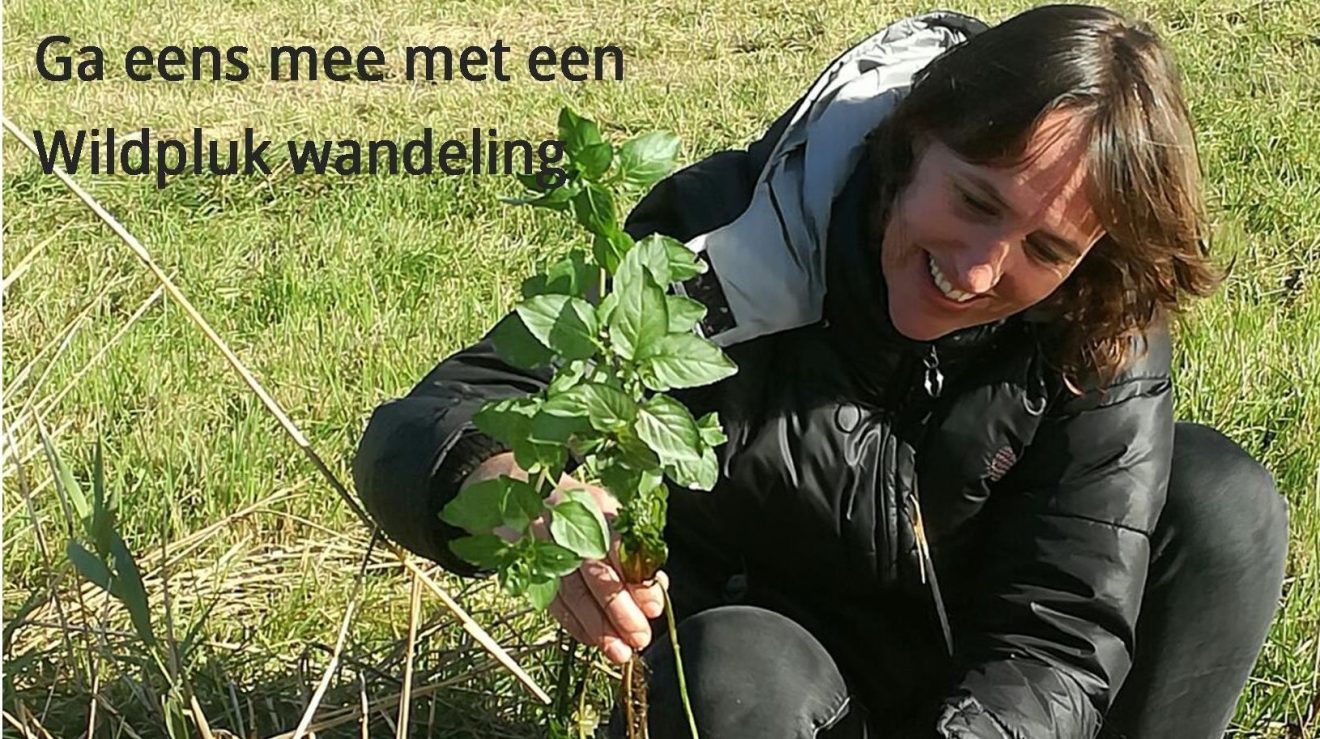 Wildpluk Wandeling
