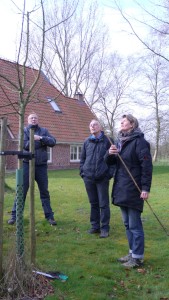Snoeidag Midwolde