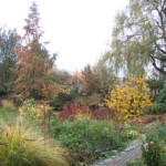 Tuin Boekhold Midwolde 1