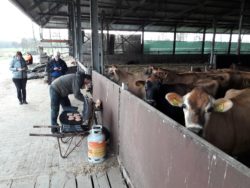 Hamburgers worden gereed gemaakt